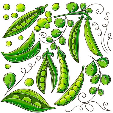 El çizimi biçiminde vektör çizimleri. Çocuk resimleri, meyveli posterler. Bezelye. Simge, işaret, çıkartma koleksiyonu