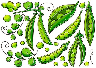 Bezelye. El çizimi biçiminde vektör çizimleri. Çocuk resimleri, meyveli posterler. Simge koleksiyonu