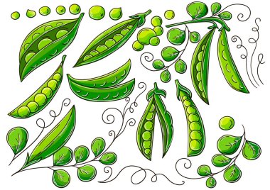 Bezelye. El çizimi biçiminde vektör çizimleri. Çocuk resimleri, meyveli posterler. Simge, işaret, iğne, çıkartma koleksiyonu