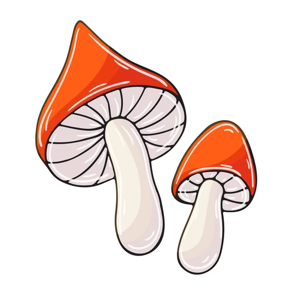 Russula Pequeño Conjunto Ilustraciones Vectoriales Estilo Dibujado Mano Dibujos Infantiles — Vector de stock