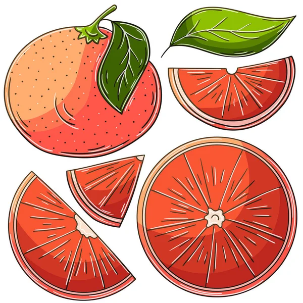 手描きでベクトルイラストのセット 子供の絵 果物のポスター グレープフルーツ 赤オレンジ アイコン ピンのコレクション — ストックベクタ