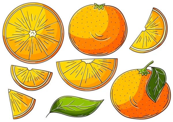 Оранжевый Мандарин Набор Векторных Иллюстраций Ручном Рисовании Детские Рисунки Плакат — стоковый вектор