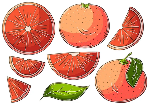 Грейпфрутовый Красный Оранжевый Набор Векторных Иллюстраций Ручном Рисовании Детские Рисунки — стоковый вектор