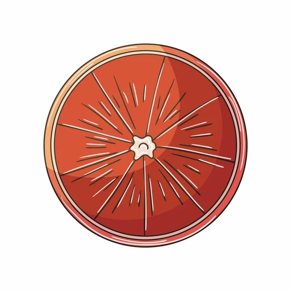 Pomelo Naranja Roja Ilustración Estilo Dibujado Mano Dibujos Infantiles Frutas — Vector de stock