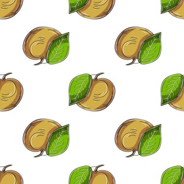 Tropikal meyveli kusursuz desen. Elde çizim stili. Longan.