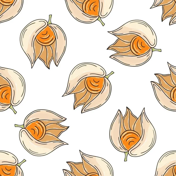 Seamless Pattern Tropical Fruits Illustration Hand Draw Style Physalis Can — Image vectorielle