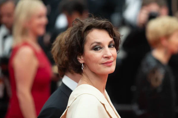 CANNES, FRANCE 18 Mayıs 2017 Jeanne Balibar 70. Cannes Film Festivali 'nde' Loveless (Nelyubov) 'gösterimine katıldı