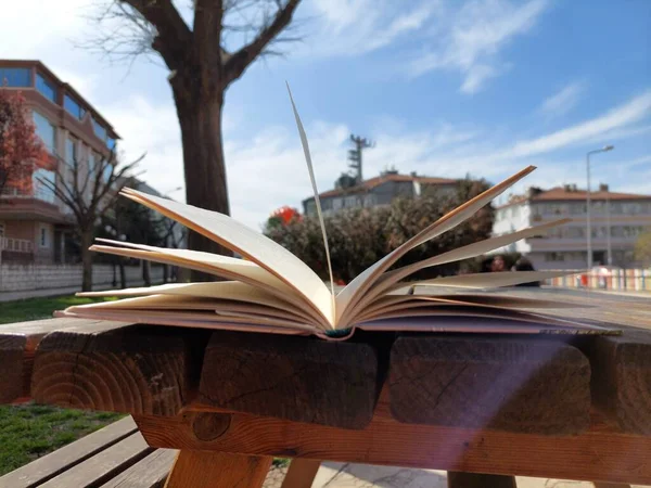 Reading Book Sunny Day — Stock Photo, Image