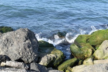 Deniz dalgaları kayalara vuruyor.