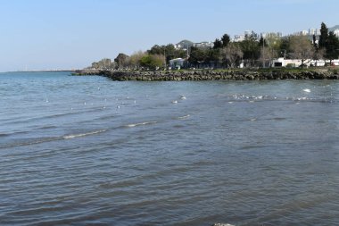 Nehrin denize döküldüğü bir yer.