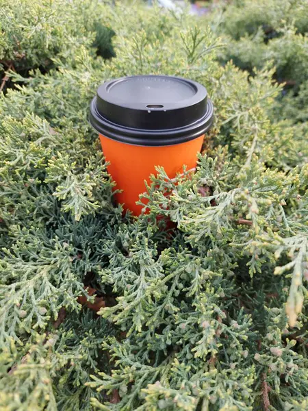 Bitkilerdeki Turuncu Kahve Fincanı — Stok fotoğraf