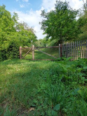 Çimlerin üzerinde eski ahşap kapı