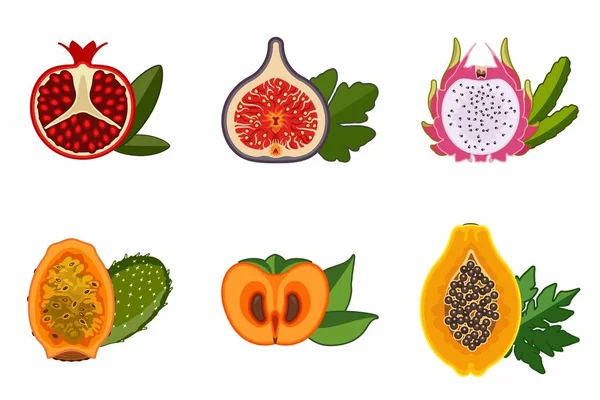 Meyve suyu etiketlerinde veya basit ve minimalist reklamlarda kullanılmak üzere egzotik meyve simgeleri.