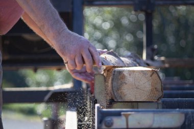 Profesyonel bir marangozun uzman elleri seyyar kereste fabrikasındaki keresteleri söküyor. Her şey talaşla kaplı..