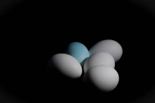 Photography White Eggs Black Background Feeding Group — Stock Photo, Image