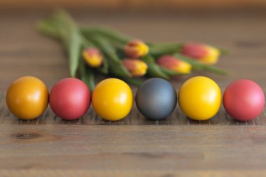 Renkli Paskalya yumurtaları ahşap bir masanın üzerinde, lalelerin yanında.