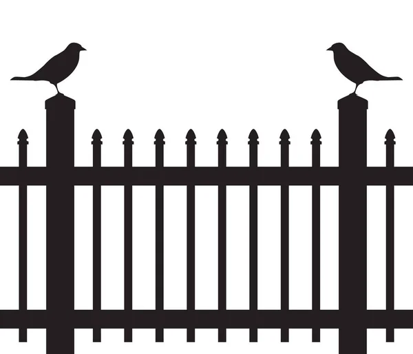 Two Birds Standing Picket Fence Posts Looking Each Other — Vetor de Stock