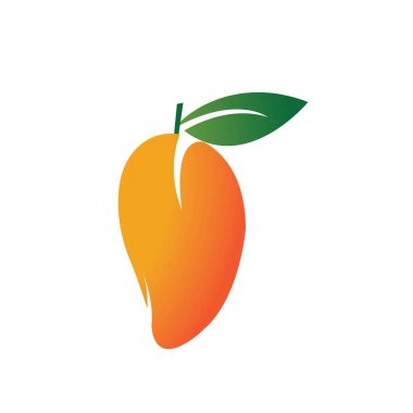 Mango meyve vektörü resimleme tasarımı