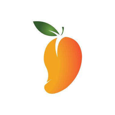Mango meyve vektörü resimleme tasarımı