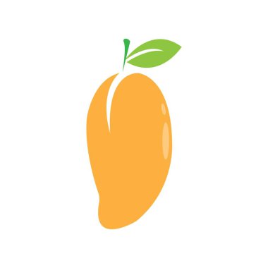 Mango meyve vektörü resimleme tasarımı