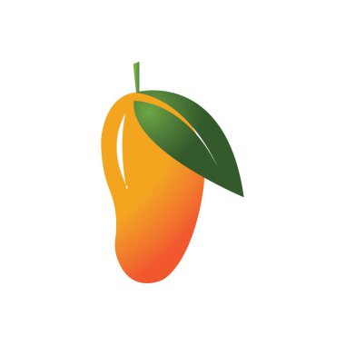 Mango meyve vektörü resimleme tasarımı