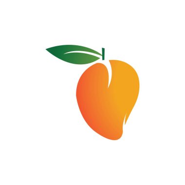 Mango meyve vektörü resimleme tasarımı