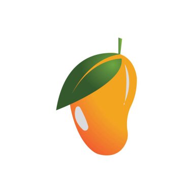 Mango meyve vektörü resimleme tasarımı
