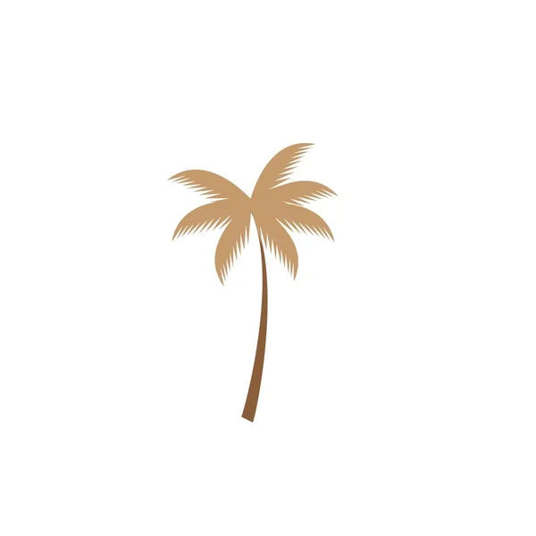 Coconut Tree Icon Vector Illustration — Stock Vector