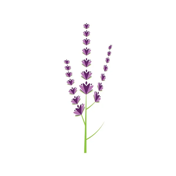 Φρέσκο Λουλούδι Λεβάντα Λογότυπο Διάνυσμα Επίπεδη Σχεδίαση — Διανυσματικό Αρχείο