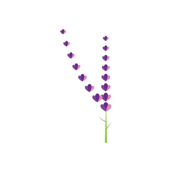 Färsk Lavendel Blomma Logotyp Vektor Platt Design — Stock vektor