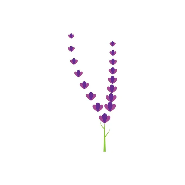 Färsk Lavendel Blomma Logotyp Vektor Platt Design — Stock vektor