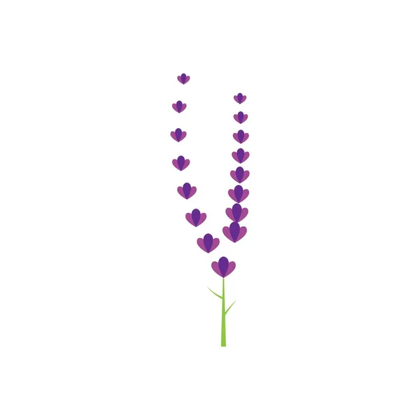 Свіжий Логотип Квітки Лаванди Векторний Плоский Дизайн — стоковий вектор