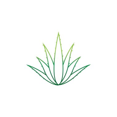 Aloe vera logo vektör ilüstrasyon şablonu