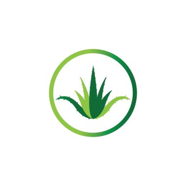 Aloe vera logo vektör ilüstrasyon şablonu