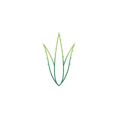 Aloe vera logo vektör ilüstrasyon şablonu