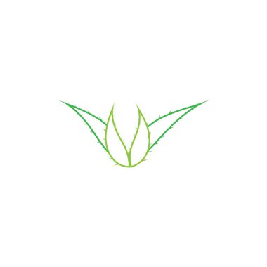 Aloe vera logo vektör ilüstrasyon şablonu