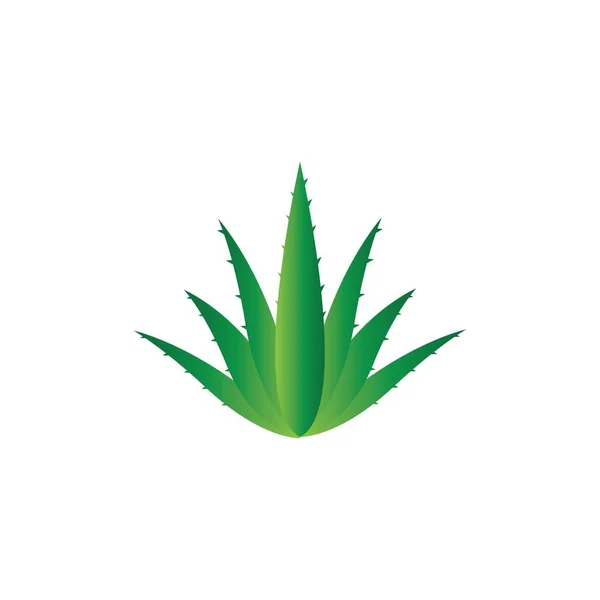 Plantilla Ilustración Del Logotipo Del Aloe Vera — Vector de stock