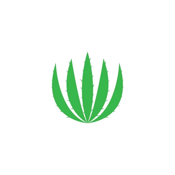 Aloe Vera Logo Vektör Ilüstrasyon Şablonu — Stok Vektör
