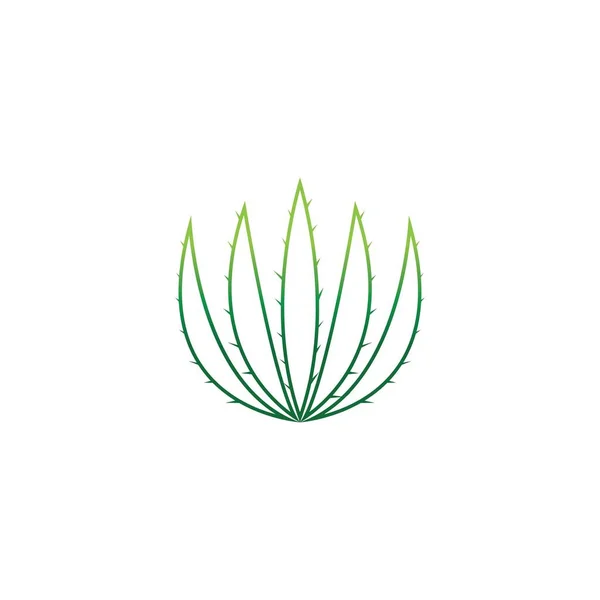 Aloe Vera Logo Vektör Ilüstrasyon Şablonu — Stok Vektör