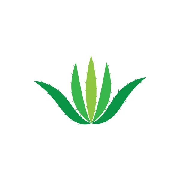 Aloe Vera Logo Vektor Illustrationsvorlage — Stockvektor