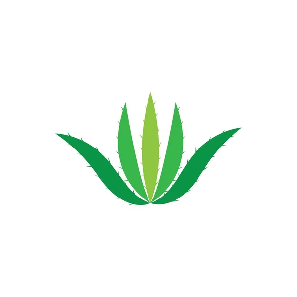 Modello Ilustrazione Vettoriale Logo Aloe Vera — Vettoriale Stock