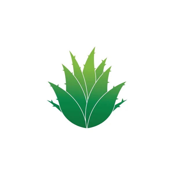 Πρότυπο Ανάλυσης Διανύσματος Λογότυπου Aloe Vera — Διανυσματικό Αρχείο