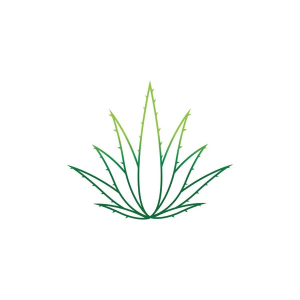 Aloes Vera Logo Wektor Ilustracji Szablon — Wektor stockowy