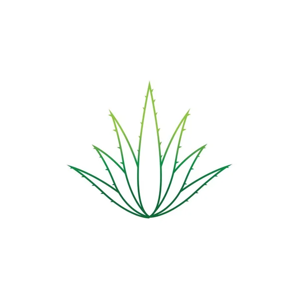 Aloe Vera Logo Vector Ilustration Template — Stock Vector