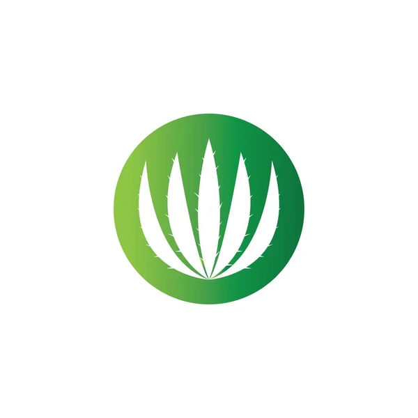Plantilla Ilustración Del Logotipo Del Aloe Vera — Archivo Imágenes Vectoriales