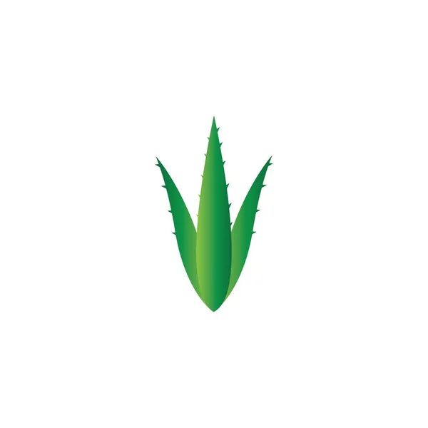 Plantilla Ilustración Del Logotipo Del Aloe Vera — Vector de stock