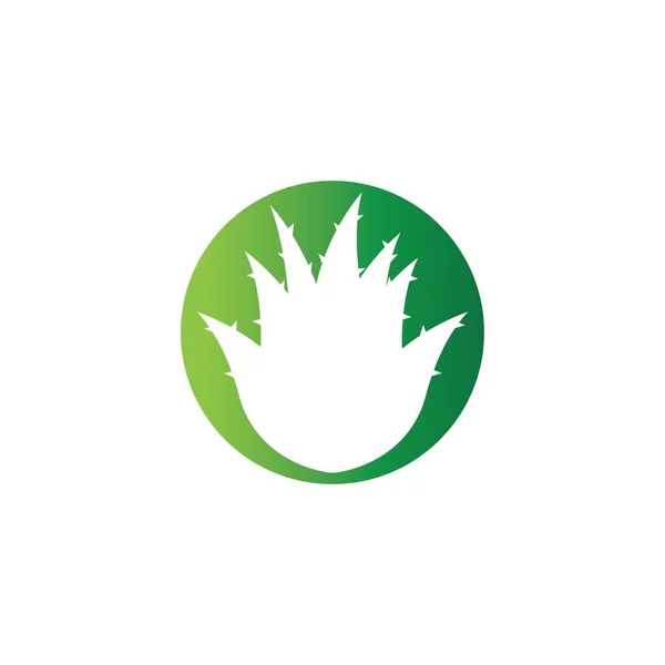 Aloe Vera Logotipo Modelo Ilustração Vetorial — Vetor de Stock