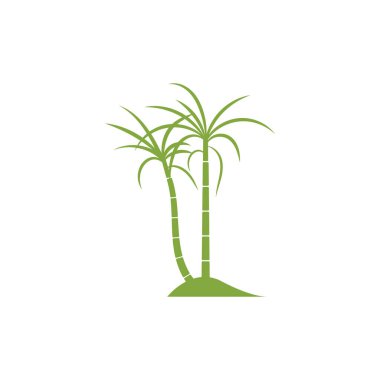 Şeker kamışı bitki logo vektör çizimi tasarımı