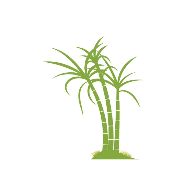 Suikerriet Plant Logo Vector Illustratie Ontwerp — Stockvector