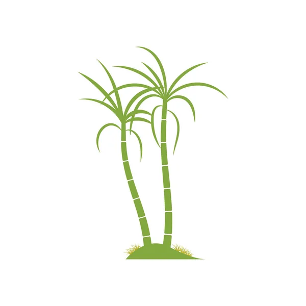 Cana Açúcar Planta Logotipo Vetor Ilustração Design —  Vetores de Stock